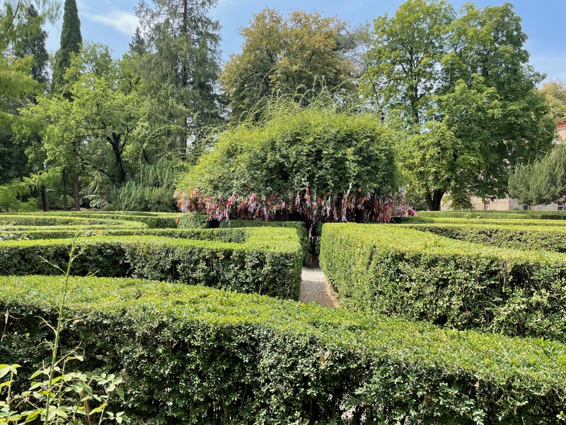 Hedge maze in the palace grounds