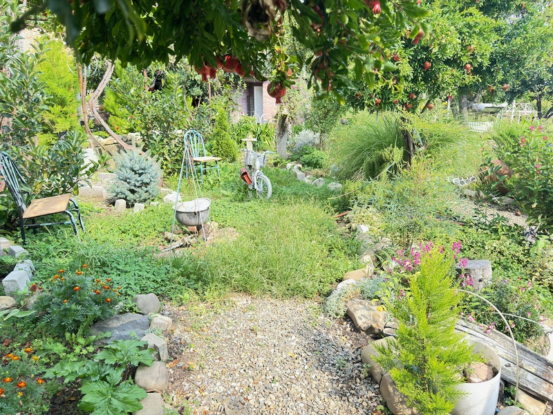 Guesthouse garden