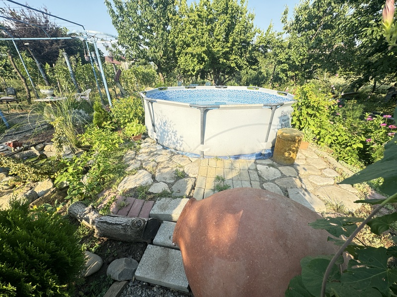 Garden pool at the guesthouse