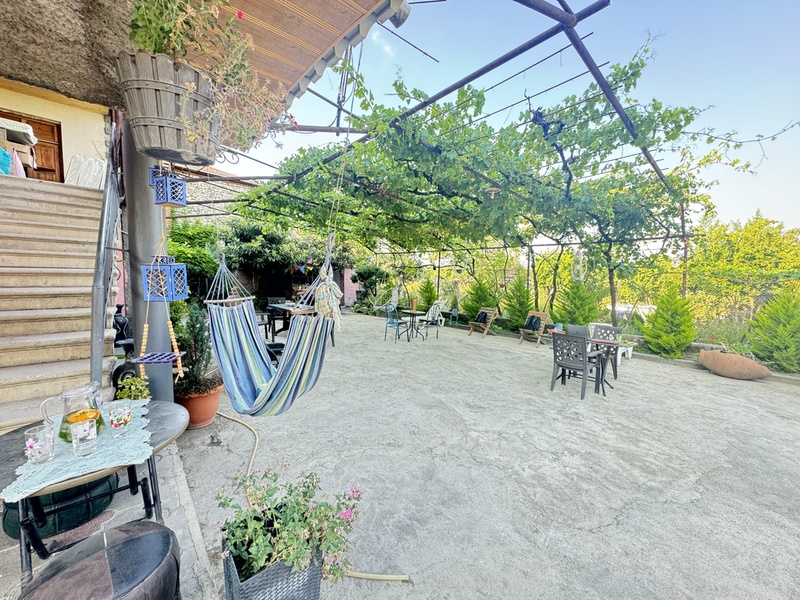 Terrace with hammock among vines